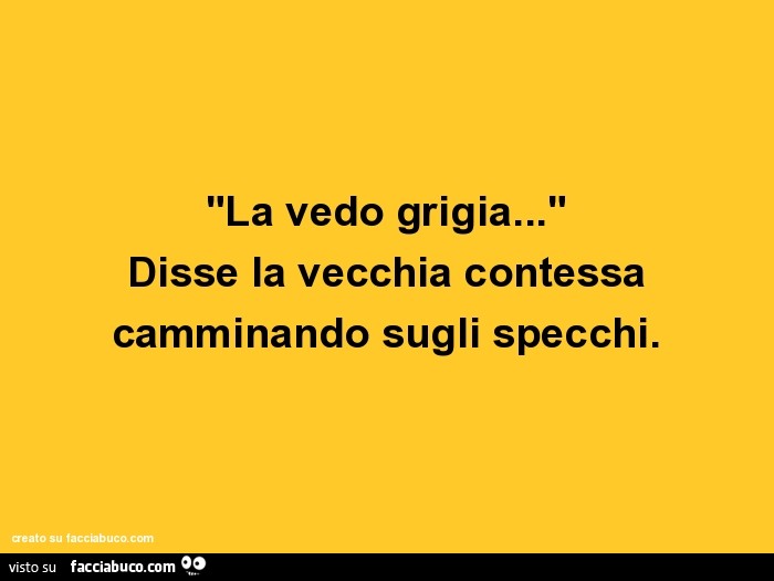 "la vedo grigia…" disse la vecchia contessa camminando sugli specchi
