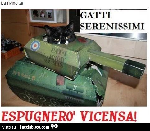 Vaccata