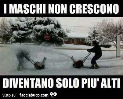 I maschi non crescono diventano solo più alti