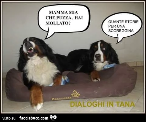 Mamma mia che puzza hai mollato?