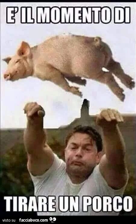 E' il momento di tirare un porco