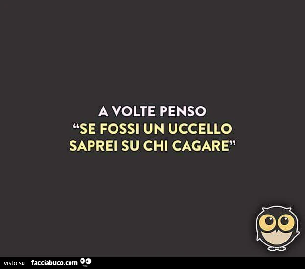 A volte penso. Se fossi un uccello saprei su chi cagare