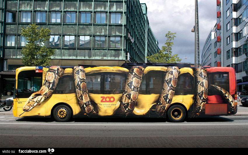 pubblicità dello zoo su un autobus... anaconda gigante stritola autobus