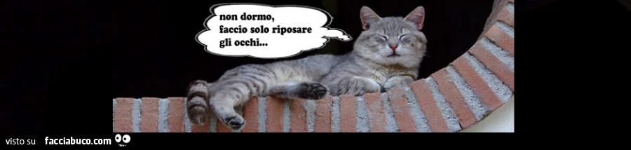non dormo... faccio solo riposare gli occhi