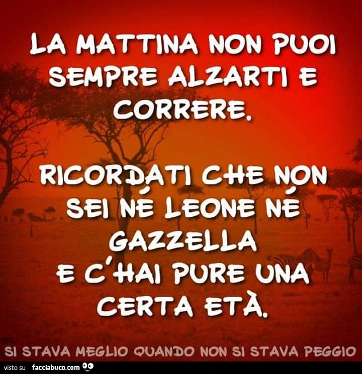 La mattina non puoi sempre alzarti e correre. Ricordati che non sei ne leone ne gazzella e c'hai pure una certa età