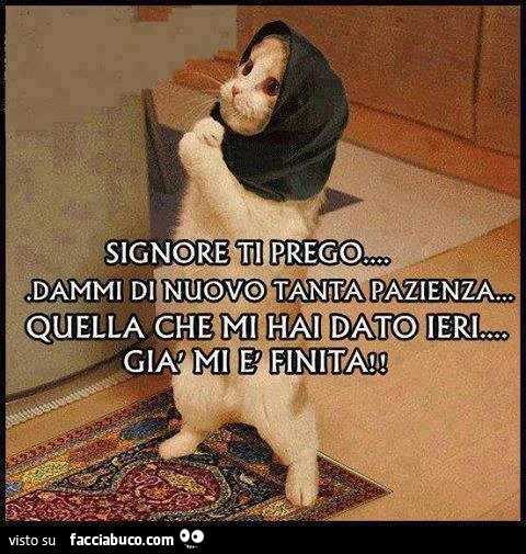 Signore ti prego... dammi di nuovo tanta pazienza. Quella che mi hai dato ieri già mi è finita