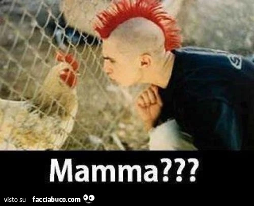 Ragazzo con la cresta si riconosce nella gallina. Mamma?
