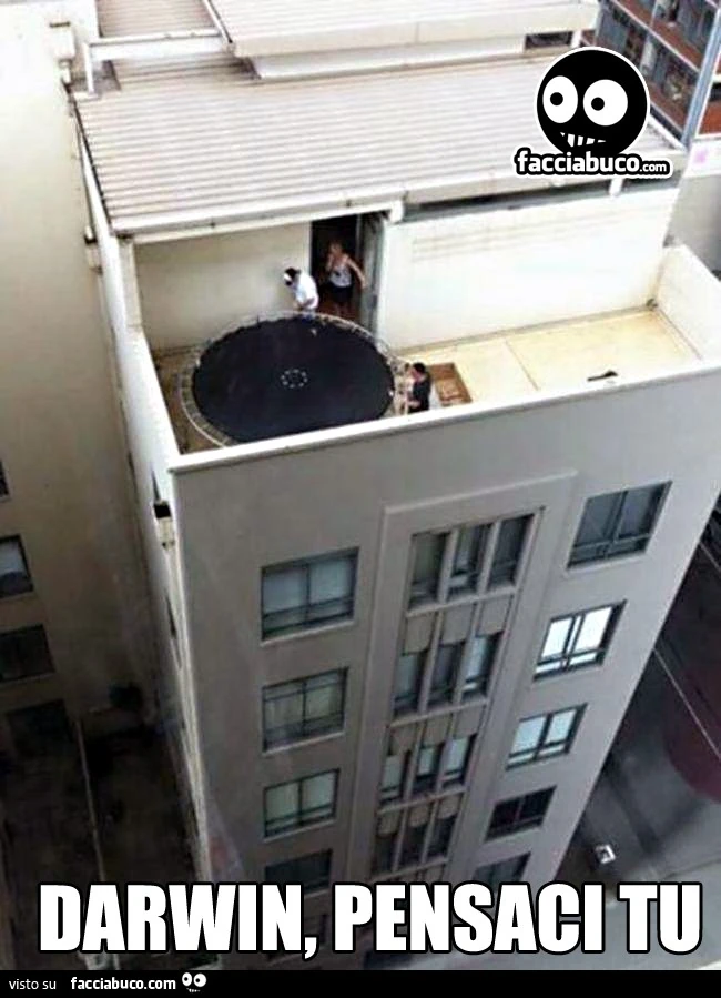 Con il trampolino sul tetto di un palazzo. Darwin, pensaci tu