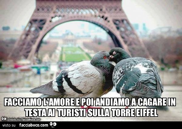 Facciamo l'amore e poi andiamo a cagare in testa ai turisti sulla torre eiffel