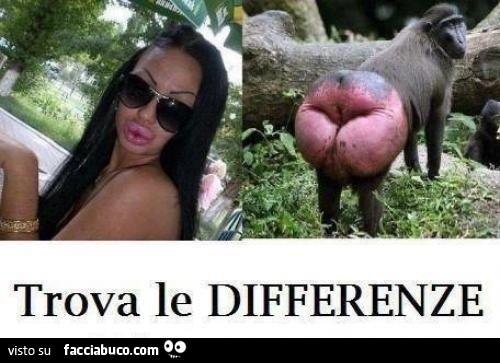 Trova le differenze