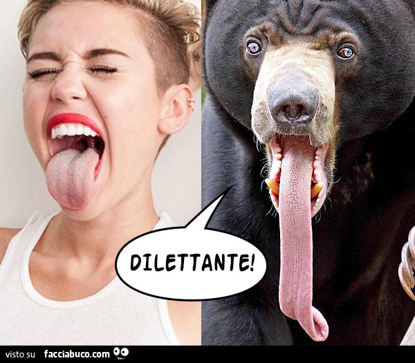 Miley Cyrus con la lingua di fuori. L'orso le da della dilettante
