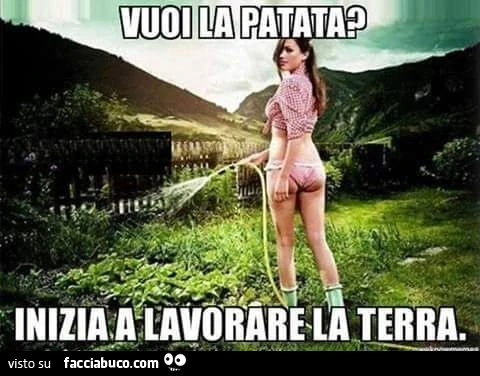 Vuoi la patata? Inizia a lavorare la terra