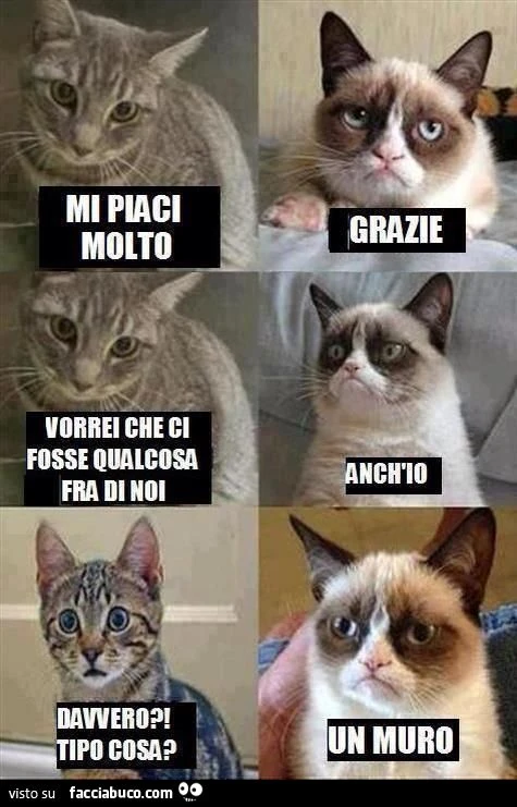 Mi piaci molto anche tu ma vorrei che ci fosse un muro tra di noi