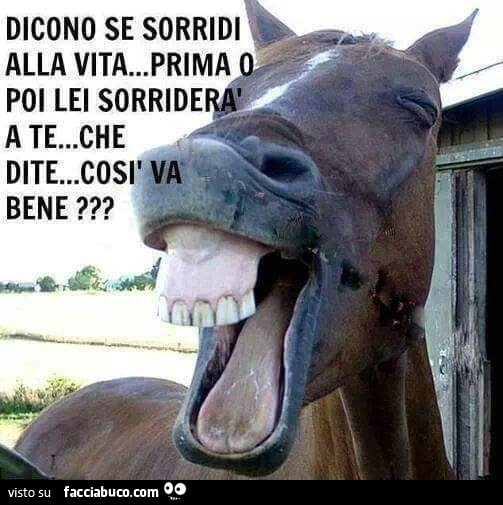 Dicono che se sorridi alla vita poi la vita ti sorriderà, così va bene?