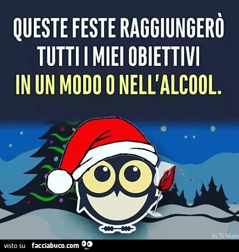 Queste feste raggiungerò tutti i miei obiettivi in un modo o nell'alcool