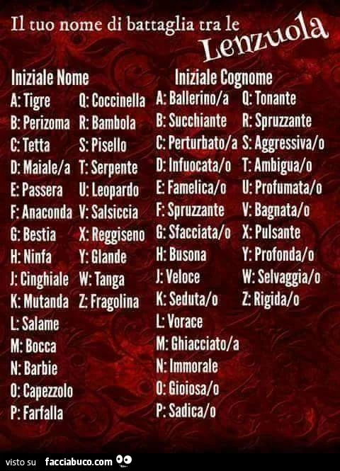 Il tuo nome di battaglia tra le lenzuola