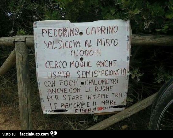 Pecorino, caprino, salsiccia al mirto ajooo. Cerco moglie anche usata semistagionata con pochi chilometri, anche con le rughe