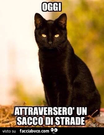 Oggi attraverserò un sacco di strade