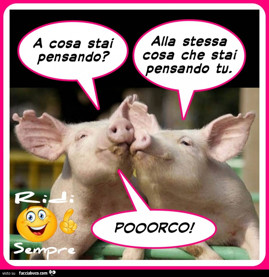 A cosa stai pensando? Alla stessa cosa che stai pensando tu! Porco!