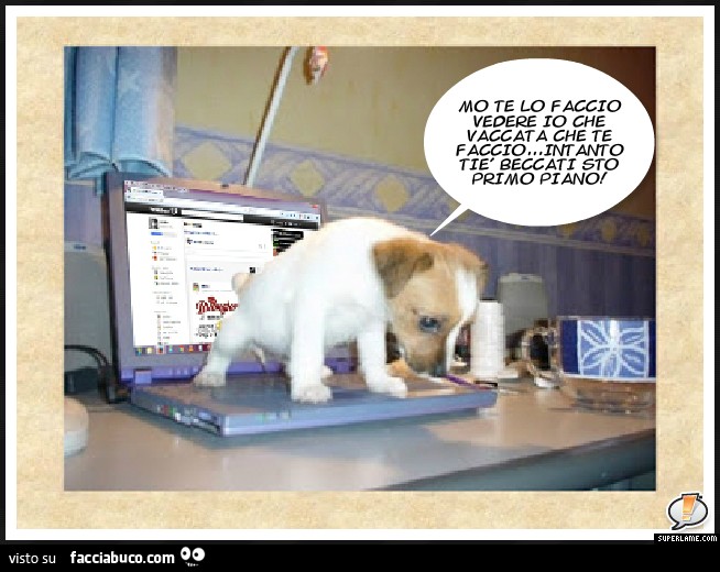 Mo te lo faccio vedere io che vaccata che te faccio. Intanto tiè beccati sto primo piano