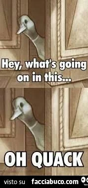 Hey, what's going on in this... OH QUACK
