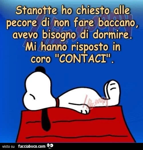 Stanotte ho chiesto alle pecore di non fare baccano, avevo bisogno di dormire. Mi hanno risposto in coro "contaci"