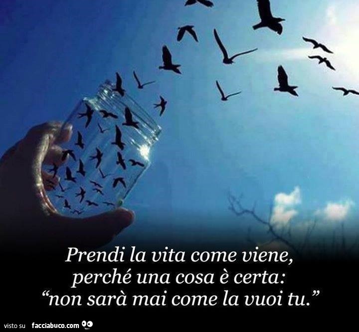 Prendi la vita come viene, perché una cosa è certa: non sarà mai come la vuoi tu