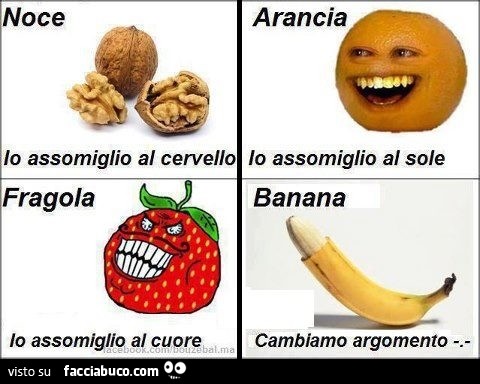 Noce: io assomiglio al cervello. Arancia: io assomiglio al sole: Fragola: io assomiglio al cuore. Banana: cambiamo argomento