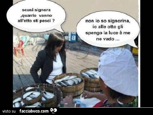 Scusi signora, quanto vanno all'etto sti pesci? Non lo so, io alle otto gli spengo la luce e me ne vado