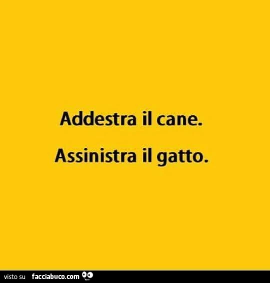 Addestra il cane. Assinistra il gatto