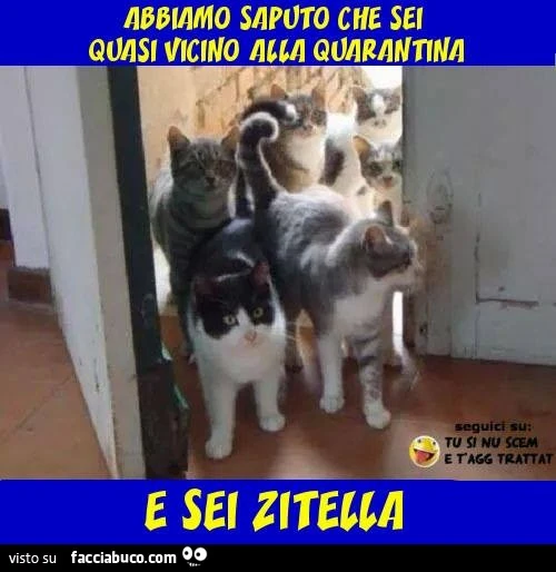 Abbiamo saputo che sei quasi vicino alla quarantina e sei zitella