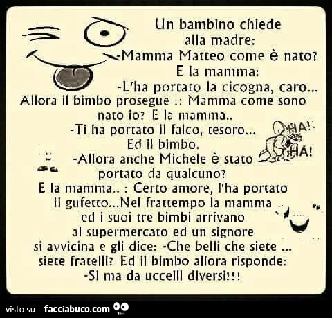 Che belli siete fratelli? Si ma da uccelli diversi