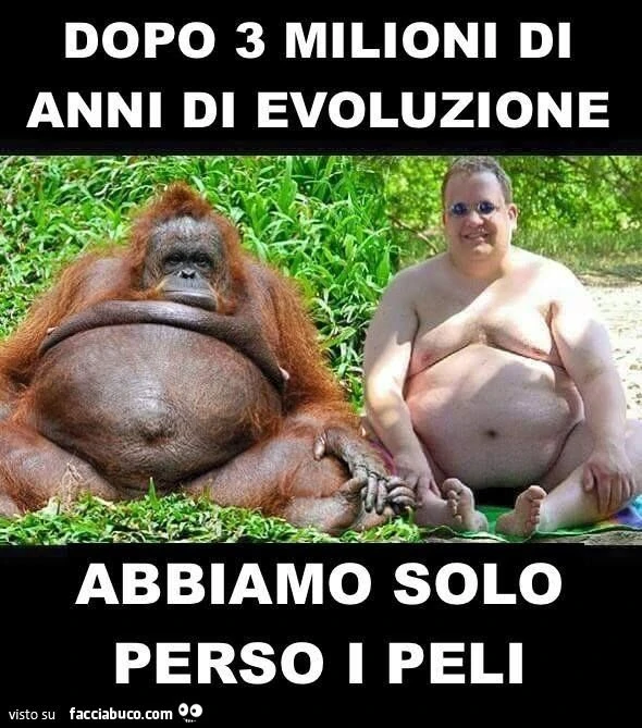 Dopo 3 milioni di anni di evoluzione abbiamo solo perso i peli