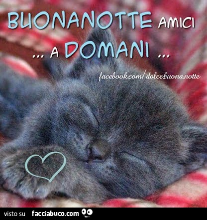 Buonanotte amici, a domani