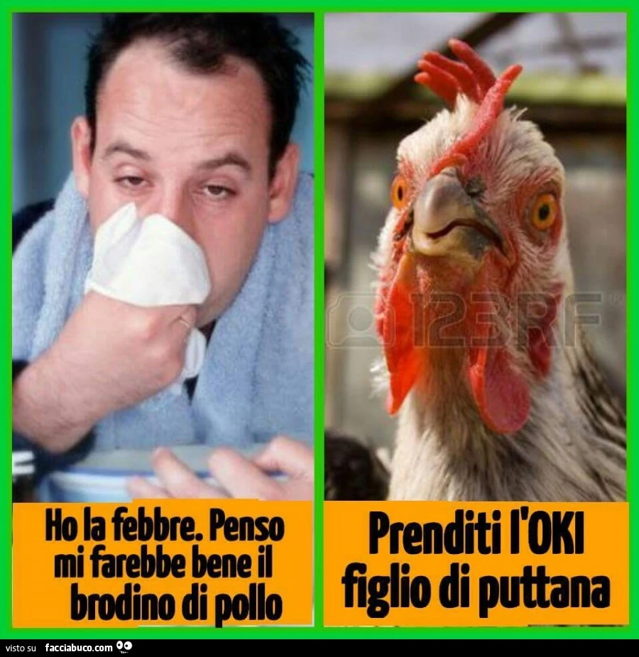 Ho la febbre. Penso mi farebbe bene il brodino di pollo. Prenditi l'OKI figlio di puttana