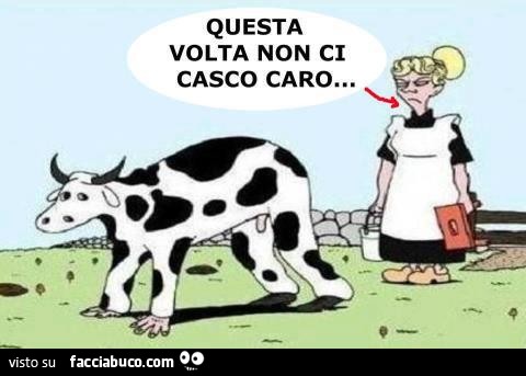 Il marito travestito da mucca. Questa volta non ci casco caro