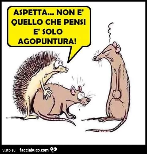 Aspetta, non è quello che pensi, è solo agopuntura