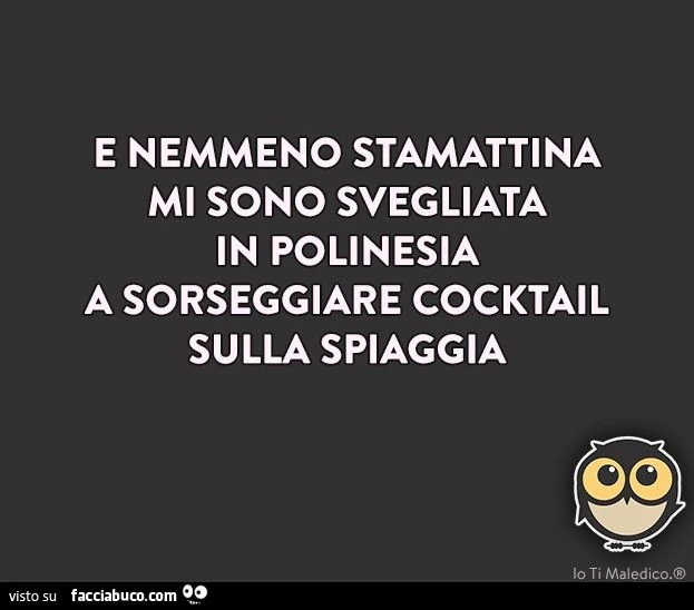 E nemmeno stamattina mi sono svegliata in polinesia a sorseggiare cocktail sulla spiaggia