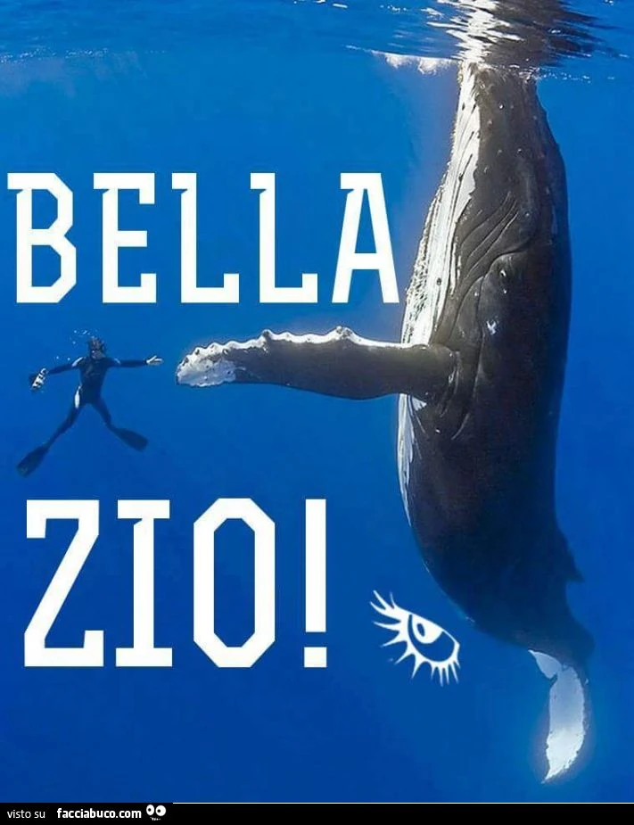 Balena: bella zio