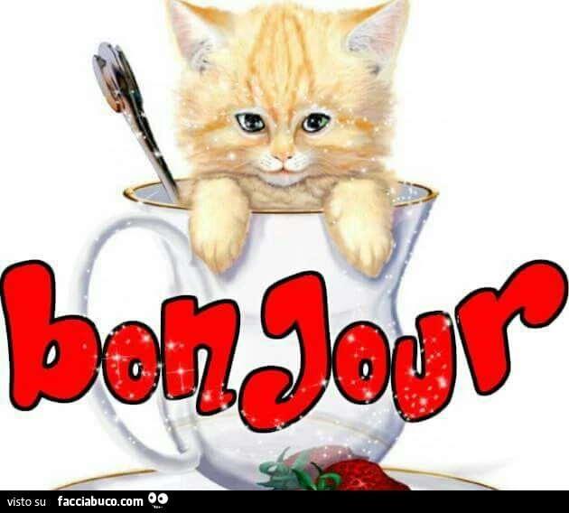 Bon Jour