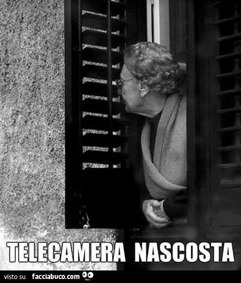 615wqesm1h-telecamera-nascosta-vicina-curiosa-vaccata_a.jpg