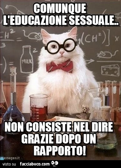 Comunque l'educazione sessuale non consiste nel dire grazie dopo un rapporto