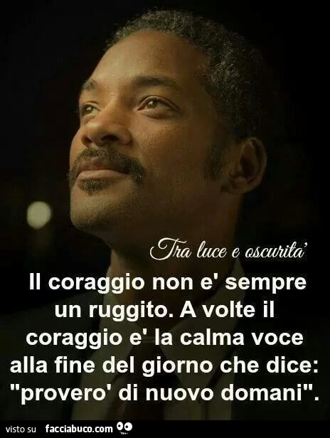 Il coraggio non è sempre un ruggito. A volte il coraggio è la calma voce alla fine del giorno che dice: proverò di nuovo domani