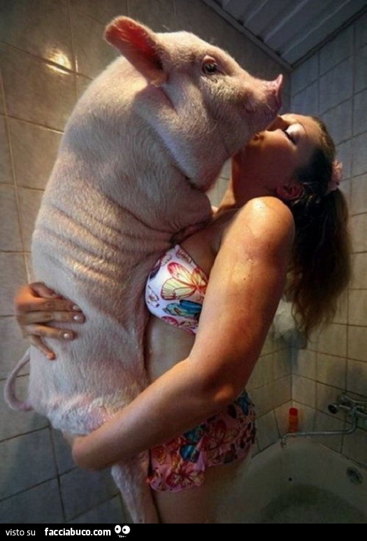 La ragazza fa le coccole al maialone