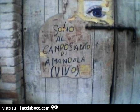 Sono al camposanto di Amandola. Vivo