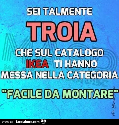 Sei Talmente Troia Che Sul Catalogo Ikea Ti Hanno Messa Nella Categoria Facile Da Montare 