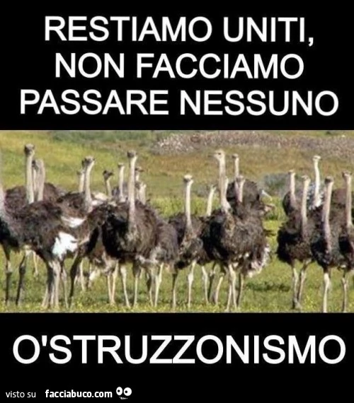 Restiamo uniti, non facciamo passare nessuno. ÒStruzzonismo