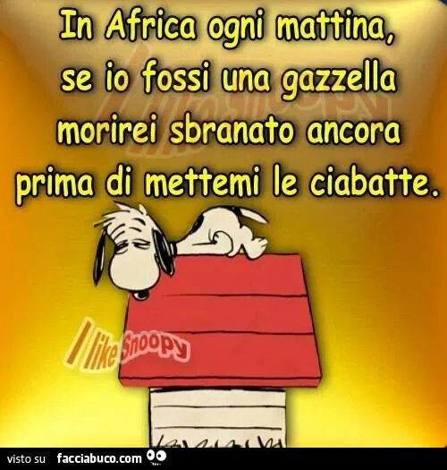 In Africa ogni mattina, se io fossi una gazzella, morirei sbranato ancora prima di mettermi le ciabatte