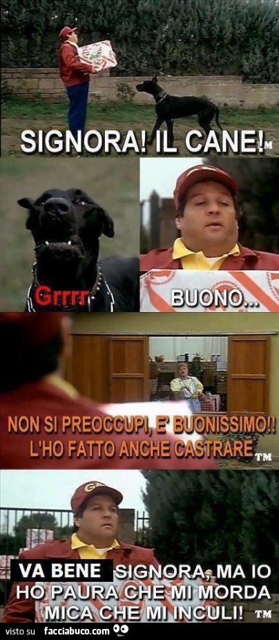 Signora il cane! Non si preoccupi è buonissimo, l'ho fatto castrare. Va bene signora, ma io ho paura che mi morda, mica che mi inculi
