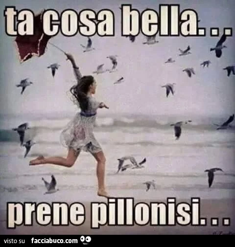 Ta cosa bella&hellip; prene pillonisi